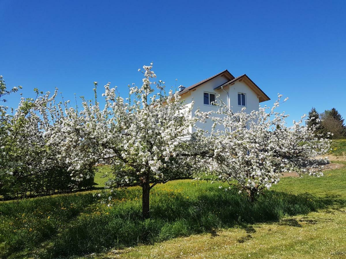 Ferienwohnung Buehlingen 로뜨바일 외부 사진